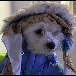 Meet your Posher, Daniel